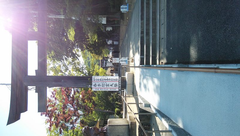 썑_В